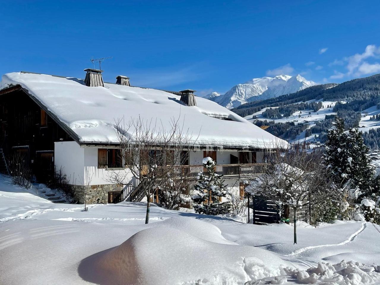 Chalet à Megève-Vauvray - Appartements tout confort, vue Mont Blanc Demi-Quartier Esterno foto