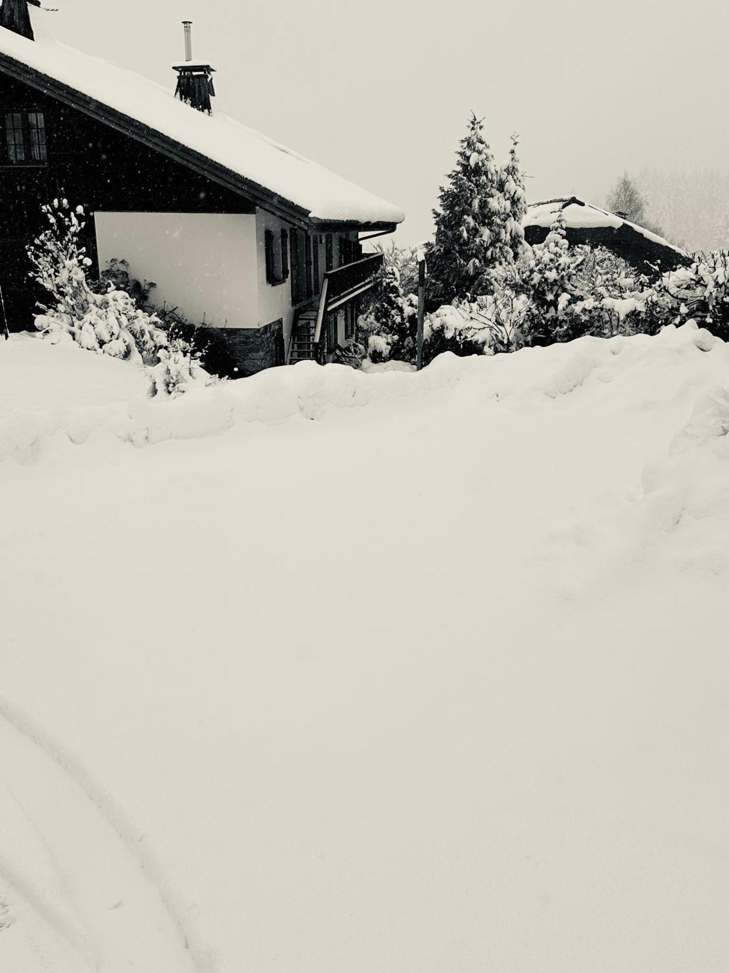 Chalet à Megève-Vauvray - Appartements tout confort, vue Mont Blanc Demi-Quartier Esterno foto